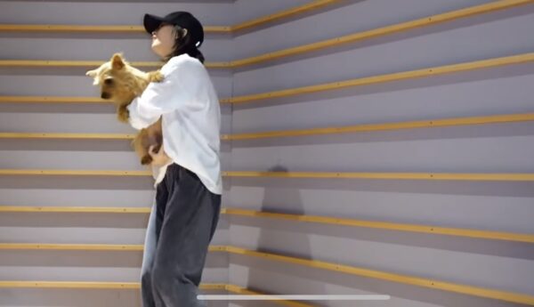 TWICE(トゥワイス)モモのペットは犬！名前はブーとドビーで種類は何？