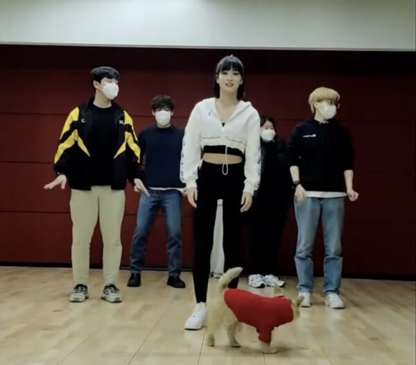 TWICE(トゥワイス)モモのペットは犬！名前はブーとドビーで種類は何？