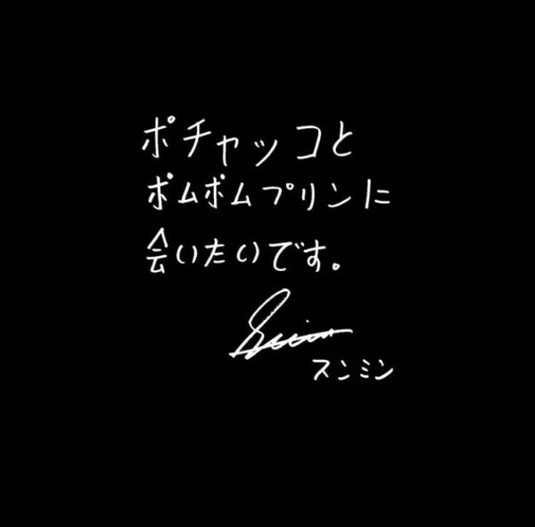straykids(スキズ)スンミンの好きな食べ物・色・曲・キャラクターを調べてみた!
