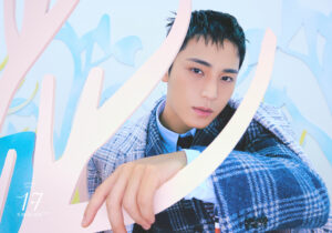 SEVENTEENミンギュのプロフィール!年齢や身長は?血液型も調査!