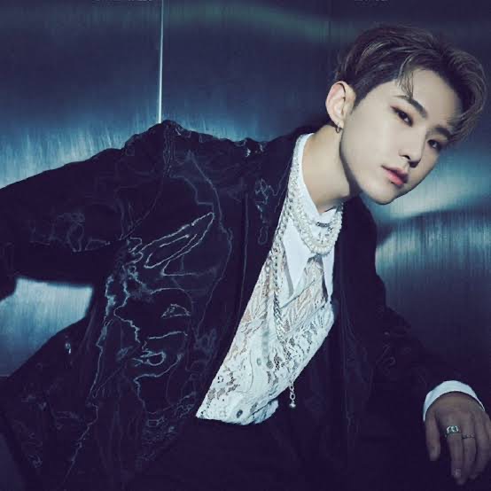 SEVENTEEN（セブチ）ホシは軟骨にピアス！数や位置は？調べてみた