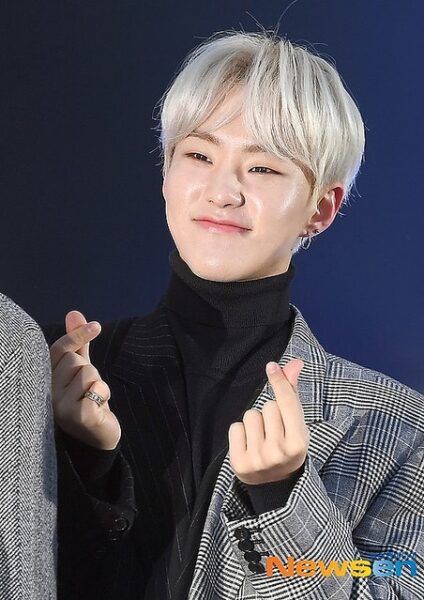 SEVENTEEN（セブチ）ホシは軟骨にピアス！数や位置は？調べてみた