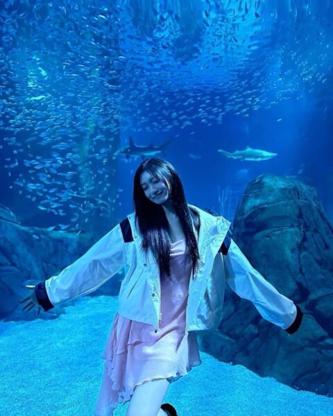 IVE(アイブ)イソのプロフィール！本名や年齢、誕生日、血液型など