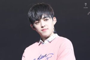 SEVENTEEN(セブチ)エスクプスは怖い？優しい？性格がわかるエピソードを集めました